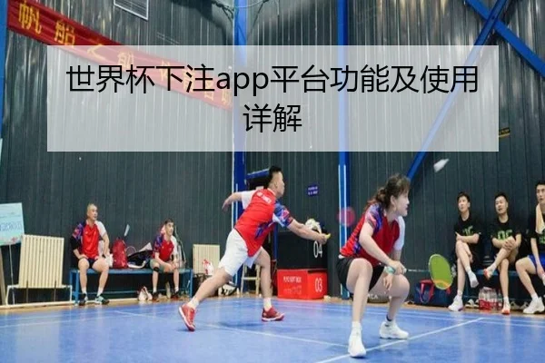 世界杯下注app平台功能及使用详解